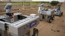 Robot peruano ayuda a predecir la cosecha de arándanos con menos de 5 % de error