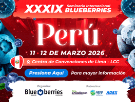 bluberries evento