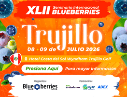 blueberrys trujillo 26