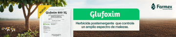 farmex GLUFOXIM
