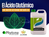 phytoma acido glutamico