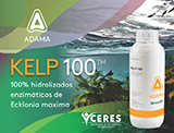 adama kelp