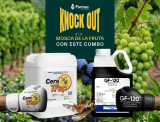farmex GLUFOXIM