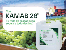 farmex kamba 26