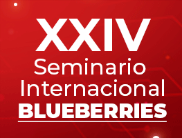blueberris Lima